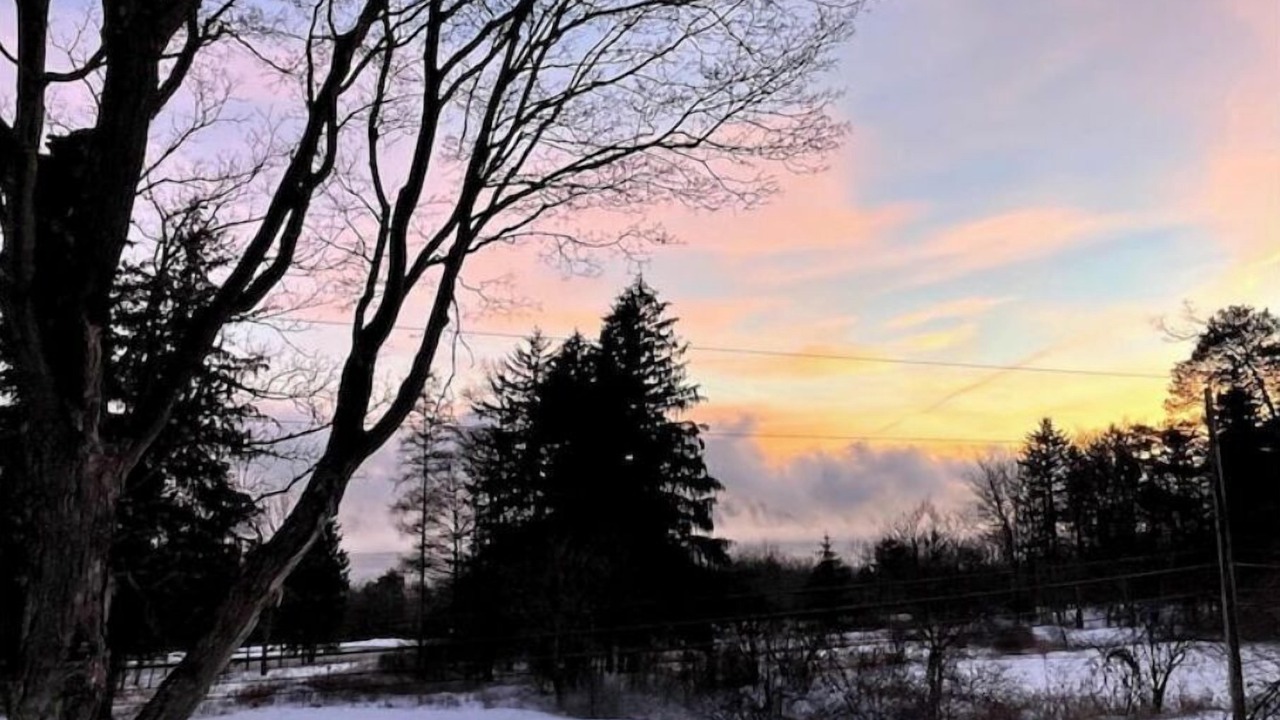 Photo of Others in Trumansburg