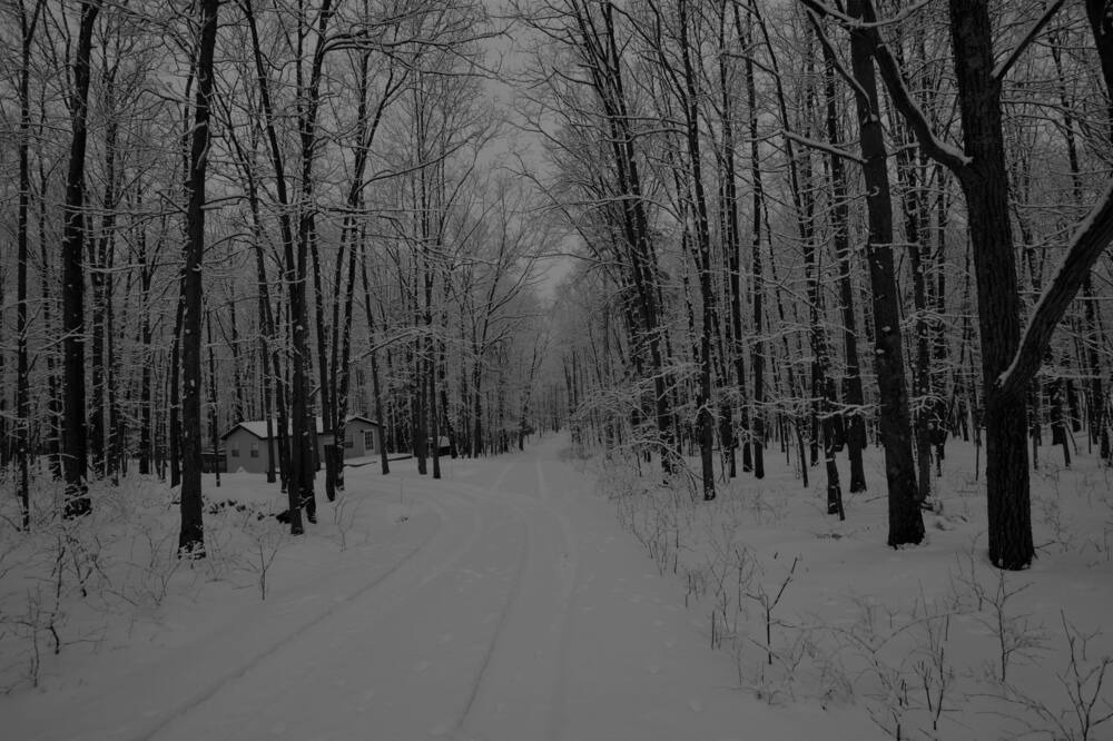 Photo of Others in Hammondsport
