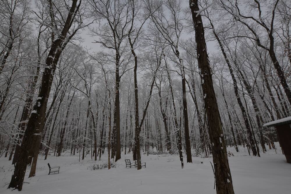 Photo of Others in Hammondsport