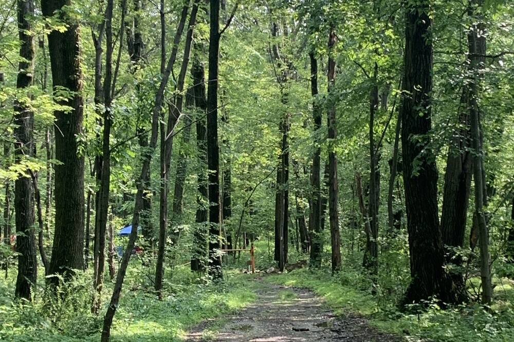 Photo of Outdoor in Hammondsport