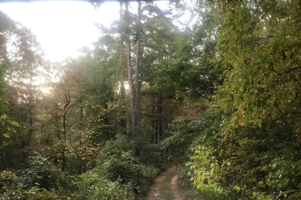 Photo of Outdoor in Octavia