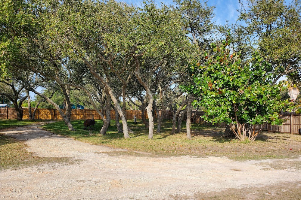 Photo of Outdoor in Fulton