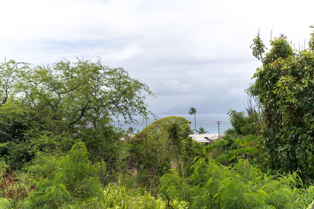 Photo of Outdoor in Napili