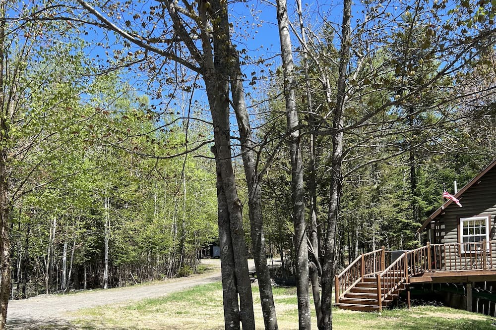 Photo of Outdoor in Beaver Cove