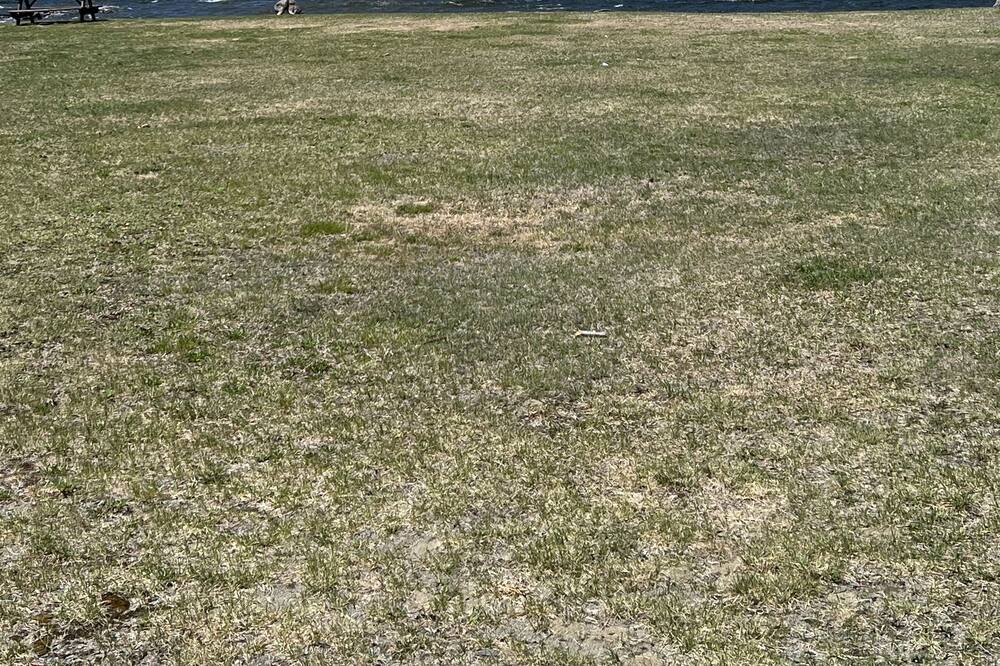 Photo of Outdoor in Beaver Cove