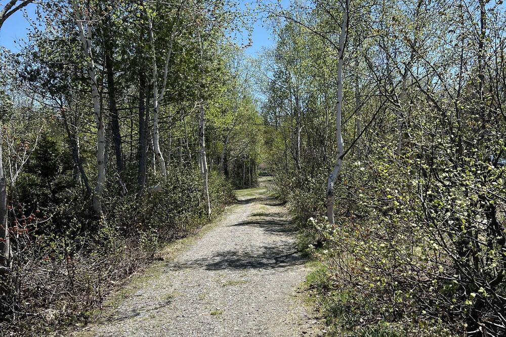 Photo of Others in Beaver Cove
