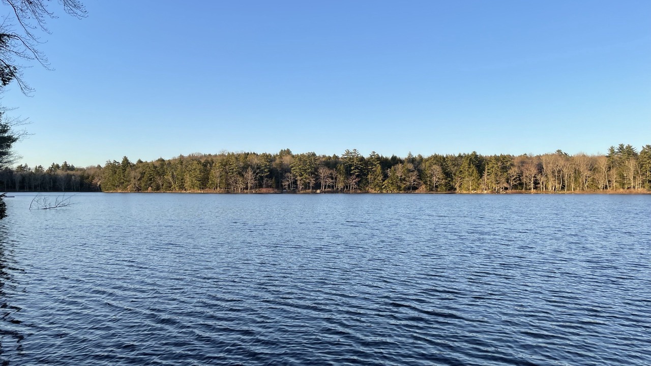 Photo of Others in Waldoboro