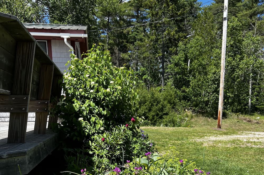 Photo of Outdoor in Brooksville