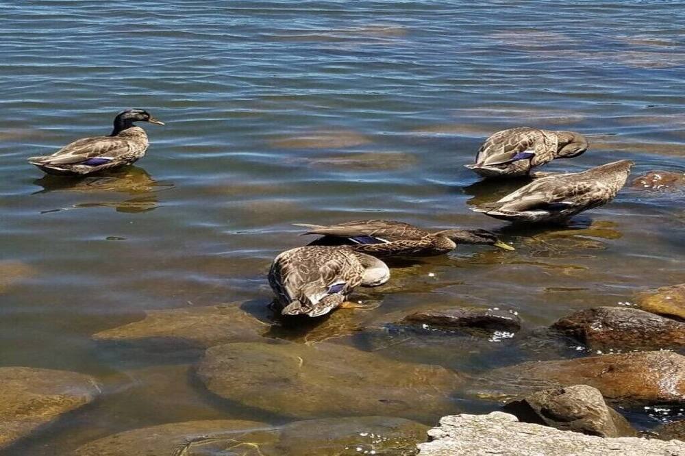 Photo of Others in Edinboro