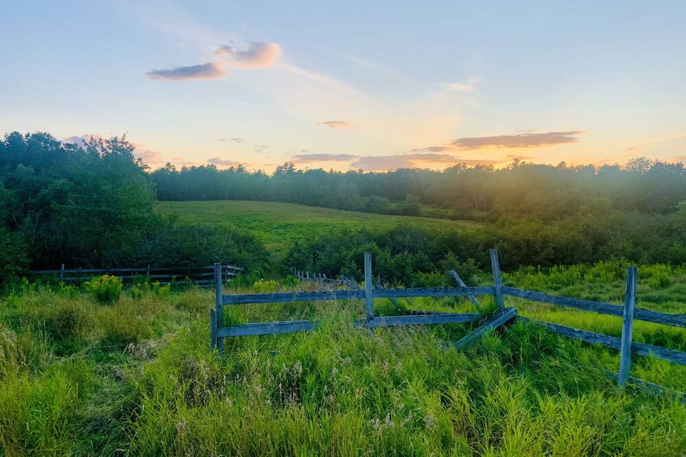 Photo of Outdoor in Lamoine
