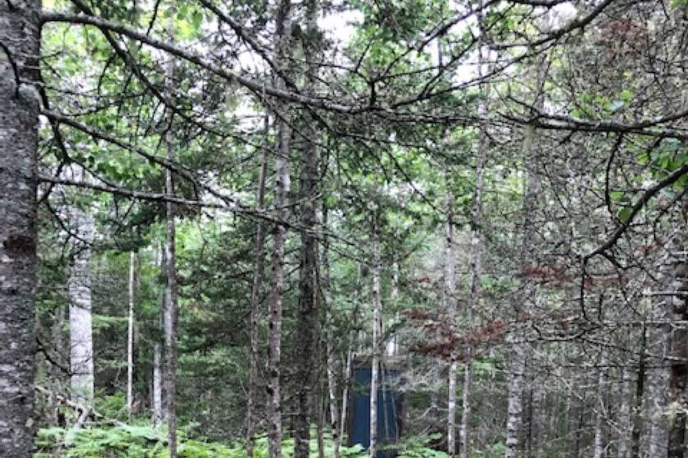 Photo of Outdoor in Lamoine