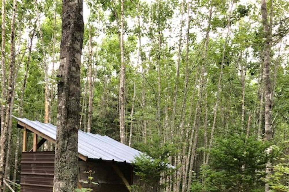 Photo of Outdoor in Lamoine