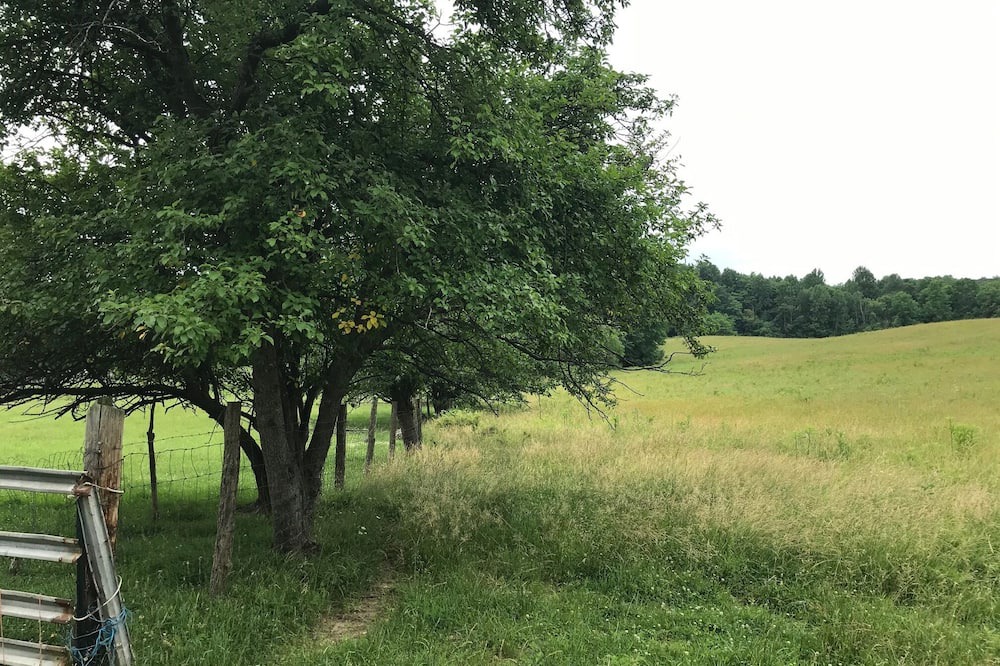 Photo of Outdoor in Mount Liberty