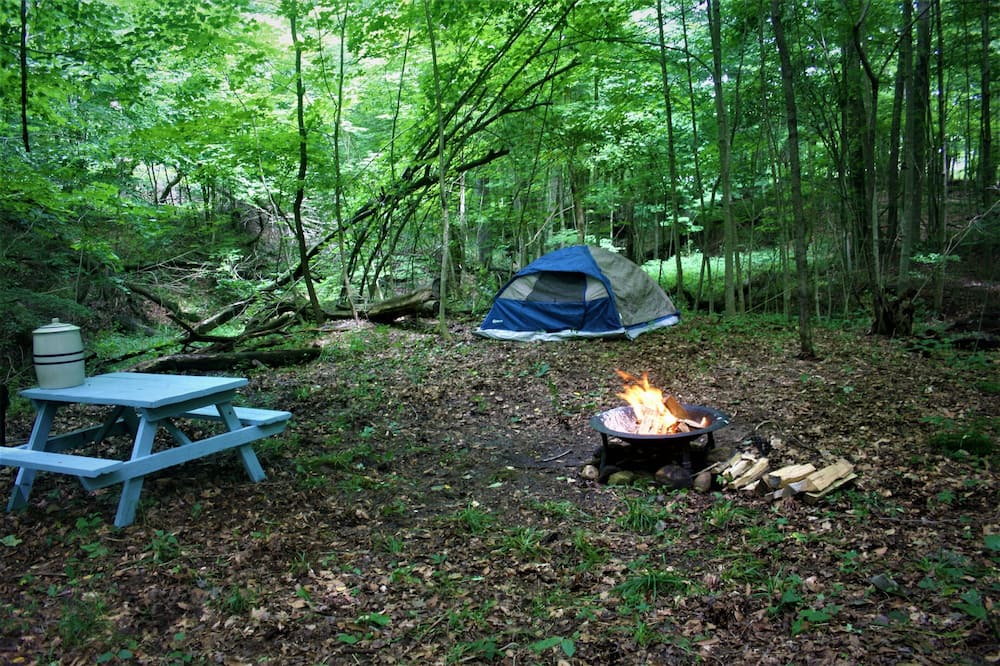 Photo of Outdoor in Mount Liberty