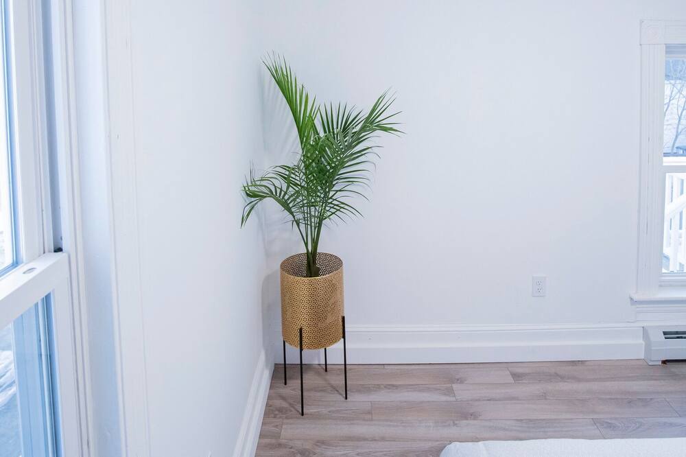 Photo of Bedroom in Lewiston