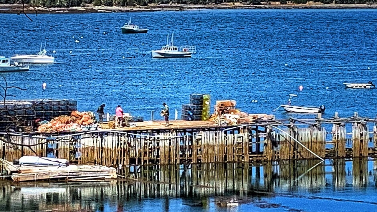 Photo of Others in South Gouldsboro