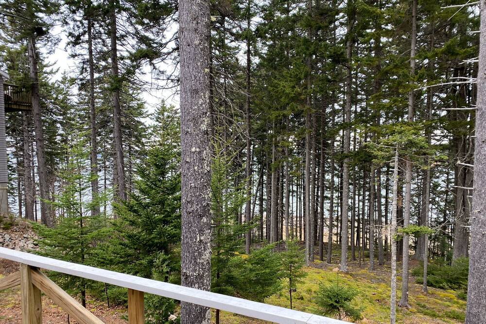 Photo of Others in DownEast and Acadia Maine