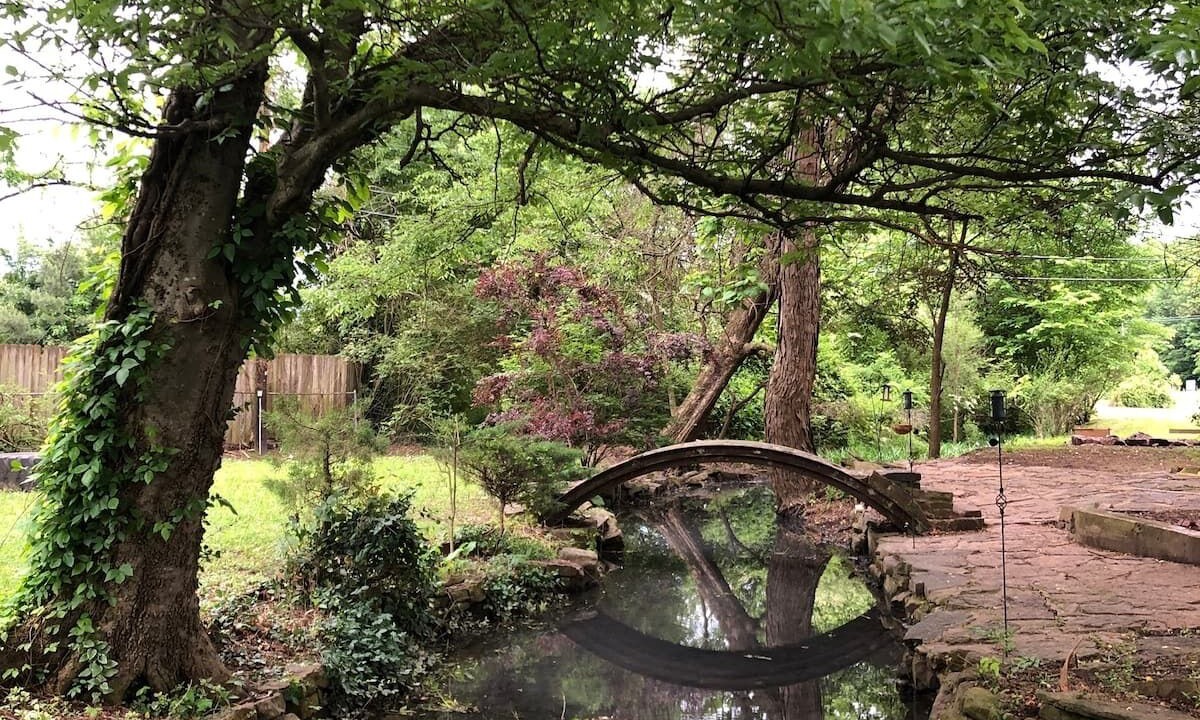 Photo of Outdoor in Chester