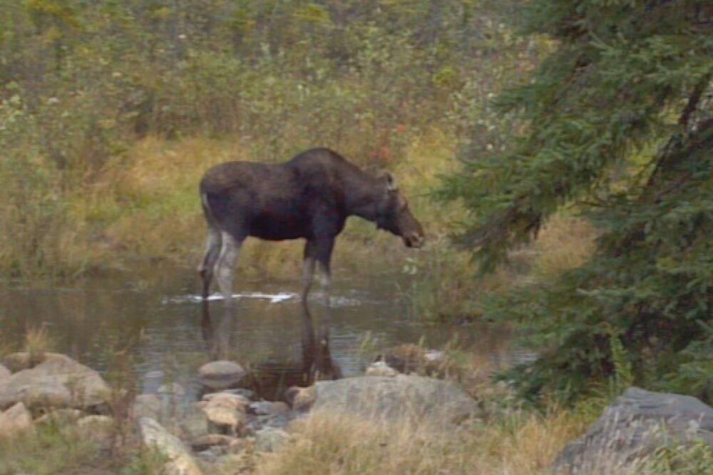 Photo of Outdoor in Sunday River Area