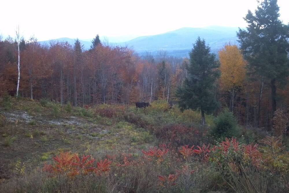 Photo of Outdoor in Sunday River Area