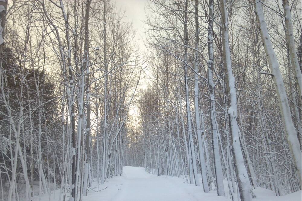 Photo of Others in Sunday River Area