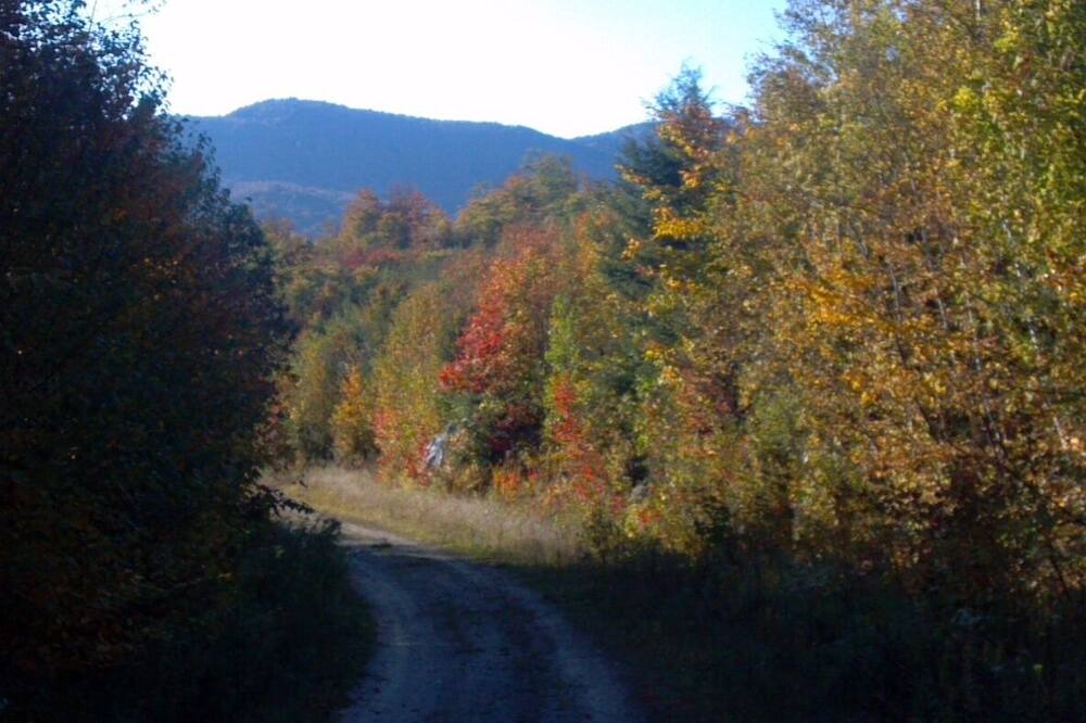 Photo of Outdoor in Sunday River Area