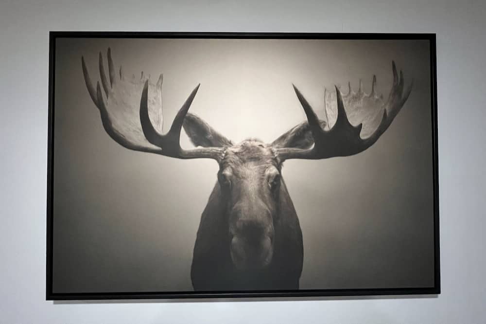 Photo of Others in Fryeburg
