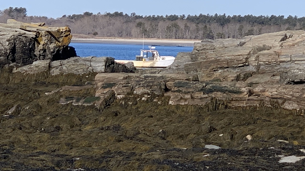 Photo of Others in Cape Elizabeth