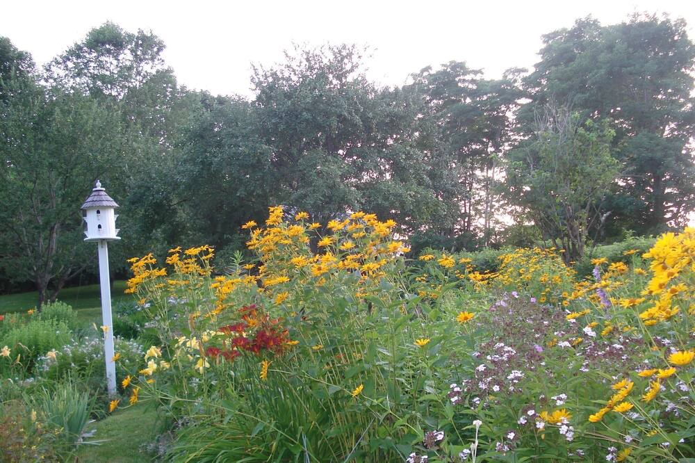 Photo of Outdoor in Castine