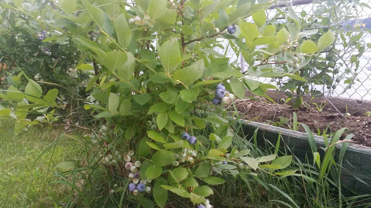 Photo of Outdoor in Dryden