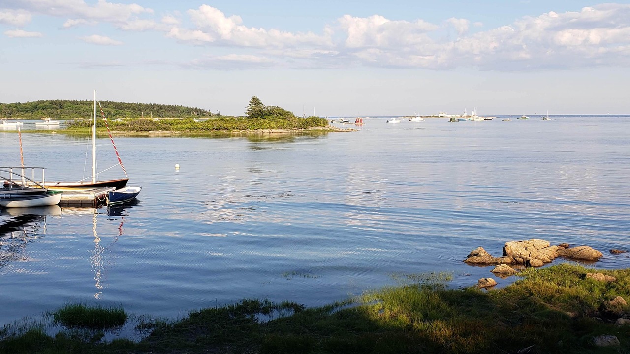 Photo of Others in Cape Porpoise