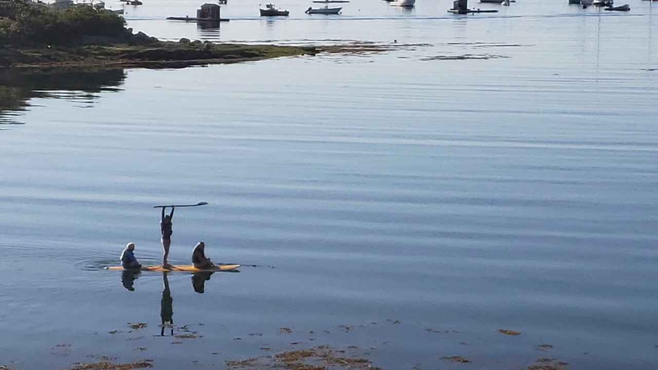 Photo of Outdoor in Cape Porpoise