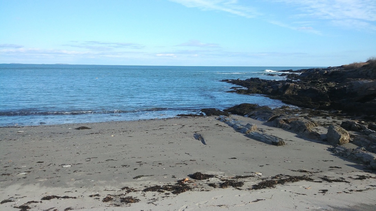 Photo of Others in Cape Elizabeth