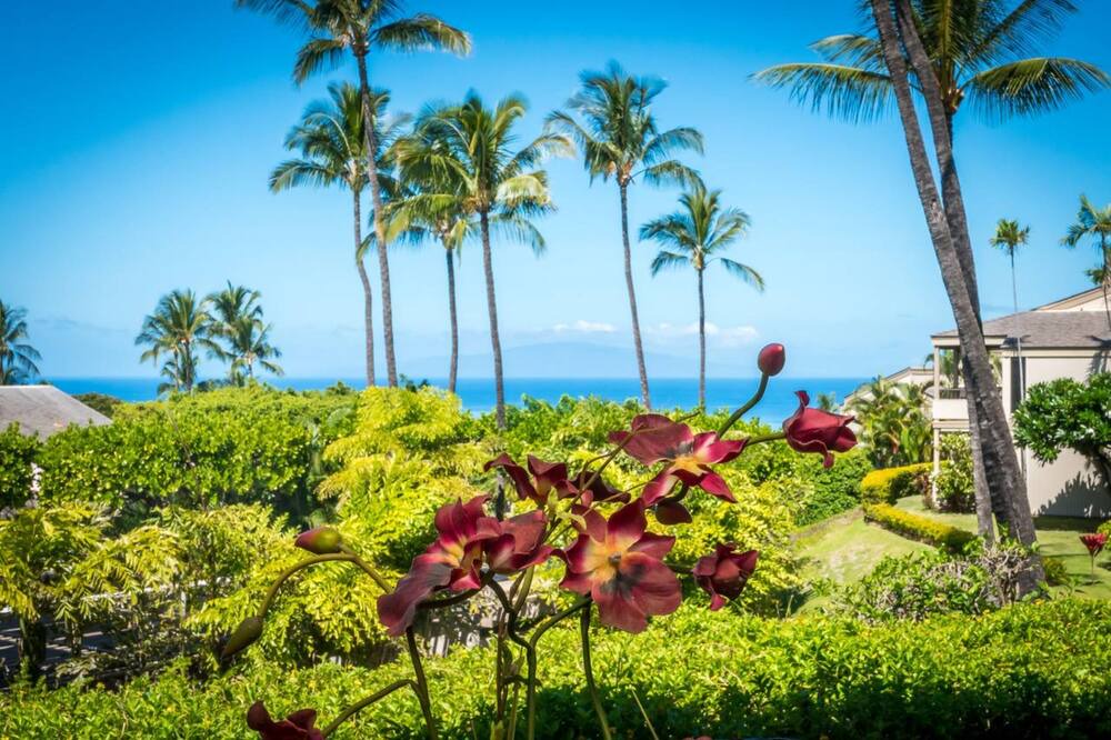 Photo of Patio Balcony in Wailea