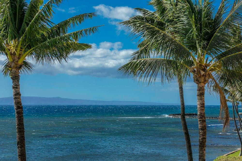 Photo of Others in Maalaea