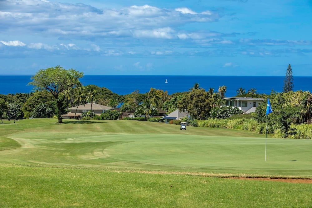 Photo of Others in Wailea