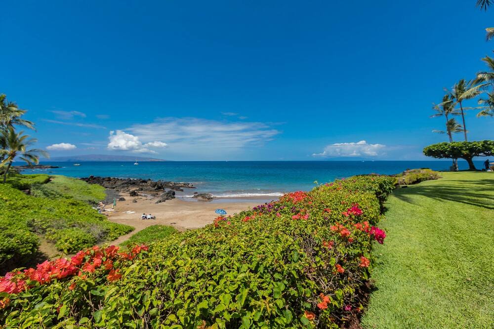 Photo of Outdoor in Wailea