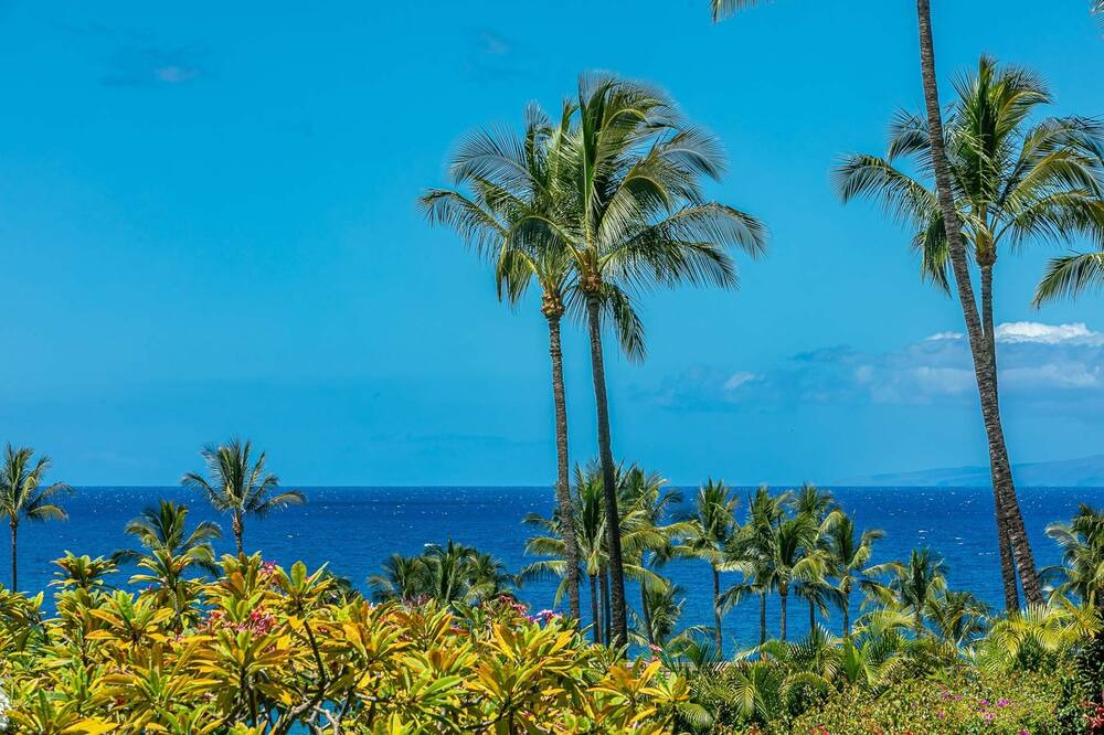 Photo of Outdoor in Wailea