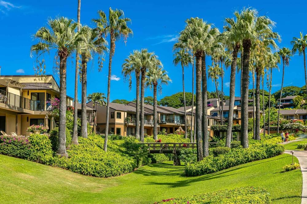 Photo of Outdoor in Wailea