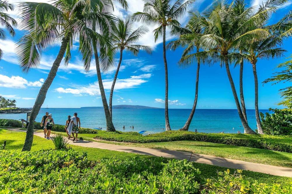 Photo of Outdoor in Wailea
