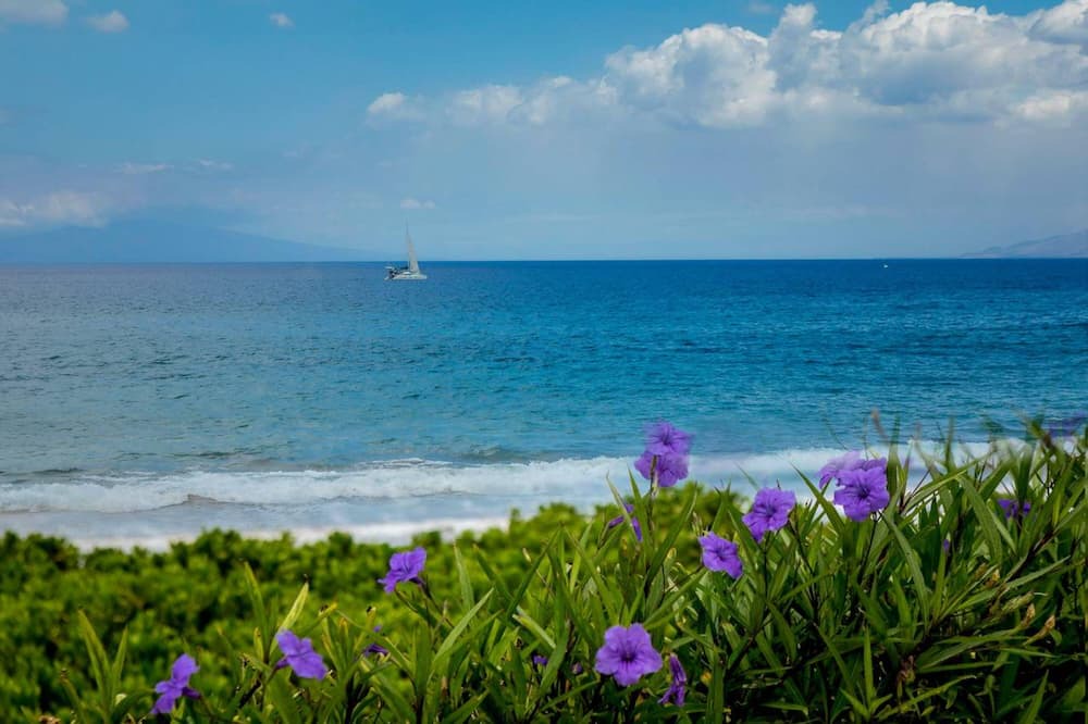 Photo of Outdoor in Wailea