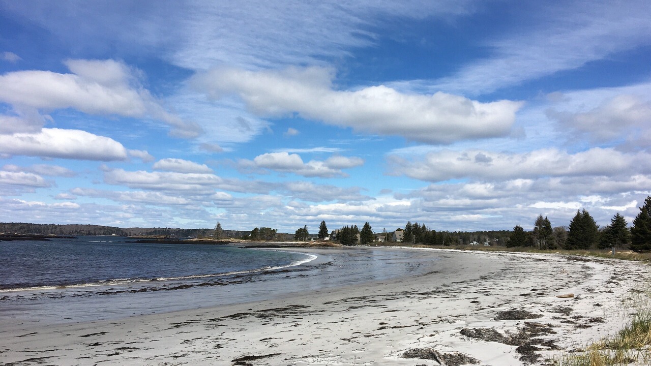 Photo of Others in New Harbor