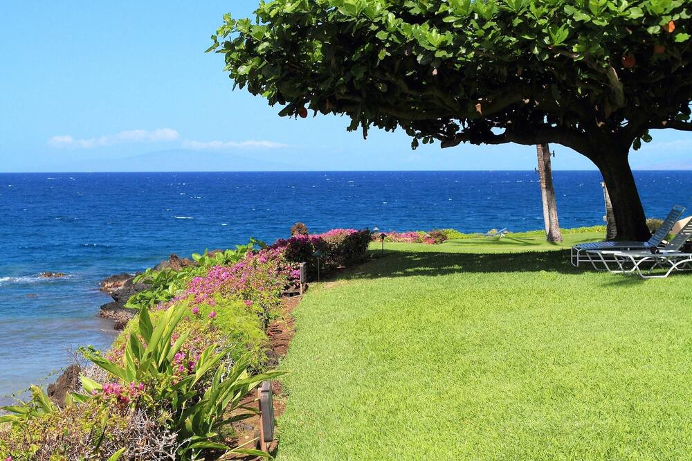 Photo of Outdoor in Wailea