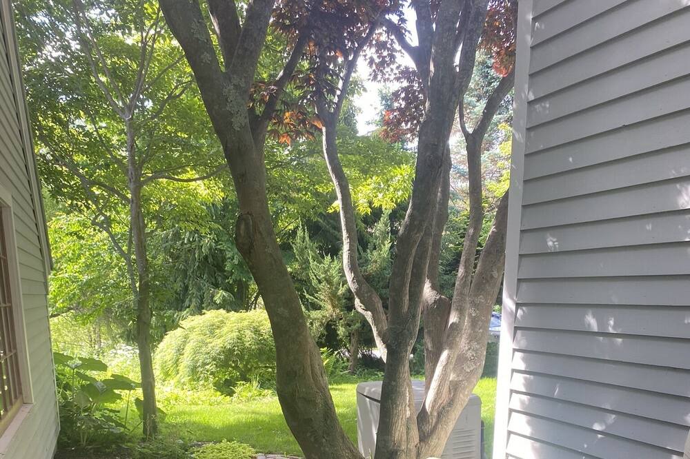 Photo of Outdoor in Cape Porpoise