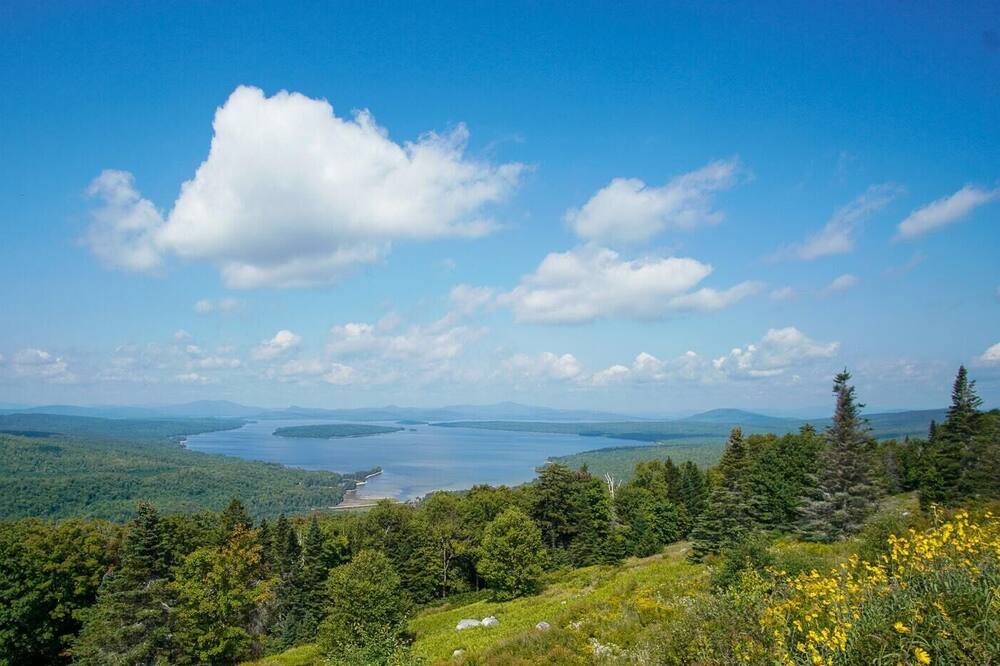 Photo of Others in Rangeley Plantation