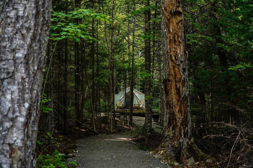 Photo of Others in Rangeley Plantation