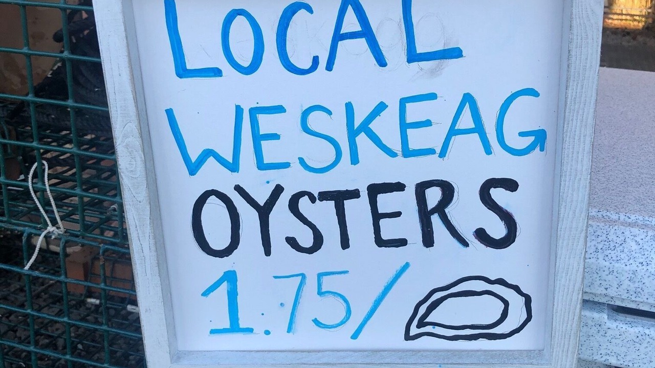 Photo of Outdoor in Rockport