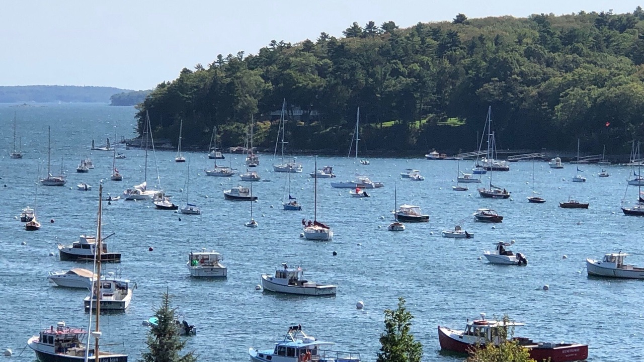Photo of Others in Rockport