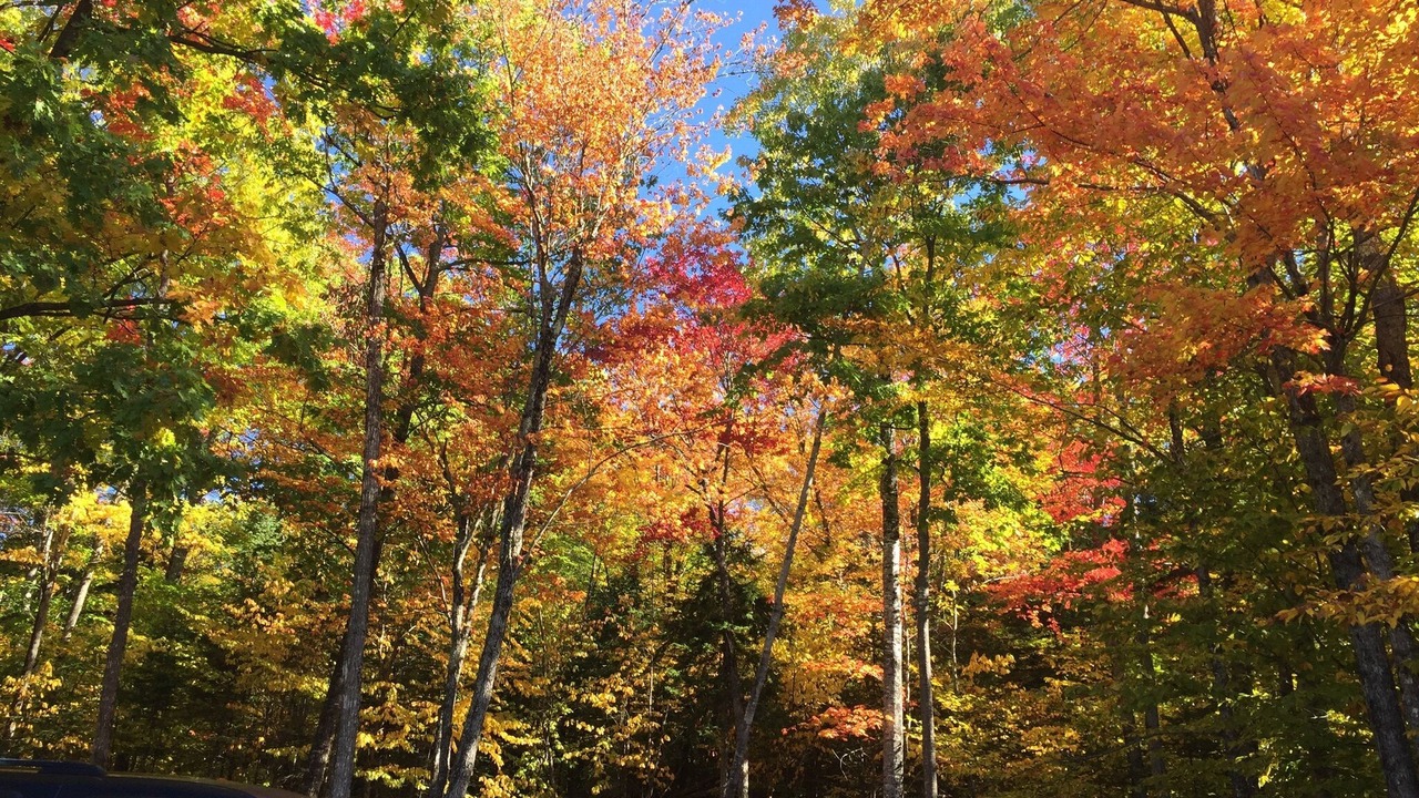 Photo of Outdoor in Monson