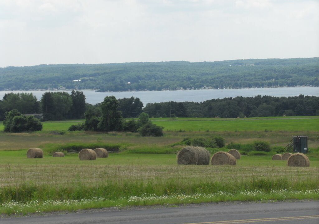 Photo of Others in Bemus Point
